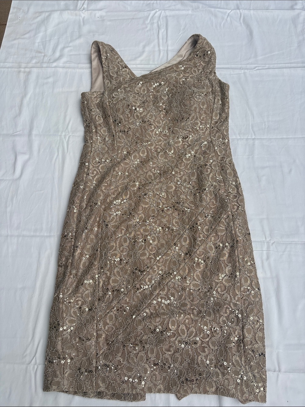 Jax Sequin Lace Sheath Dress in Taupe size 10